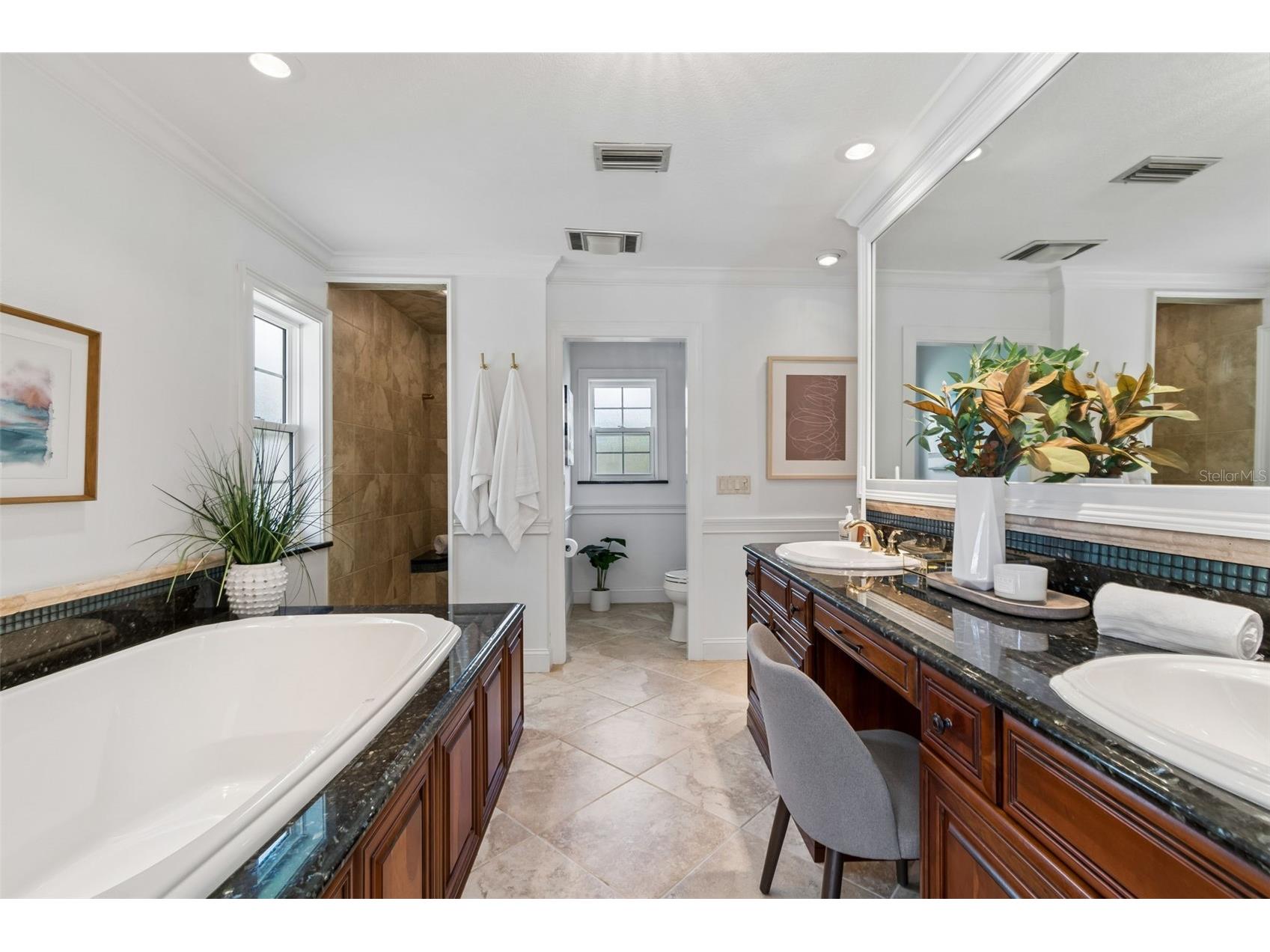 2245 Toniwood Lane Palm Harbor FL 34685 TB8510983 image33