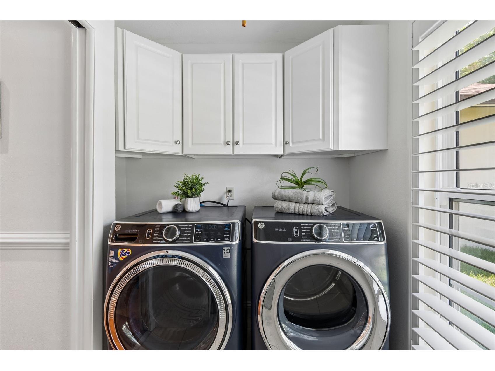 2245 Toniwood Lane Palm Harbor FL 34685 TB8510983 image38