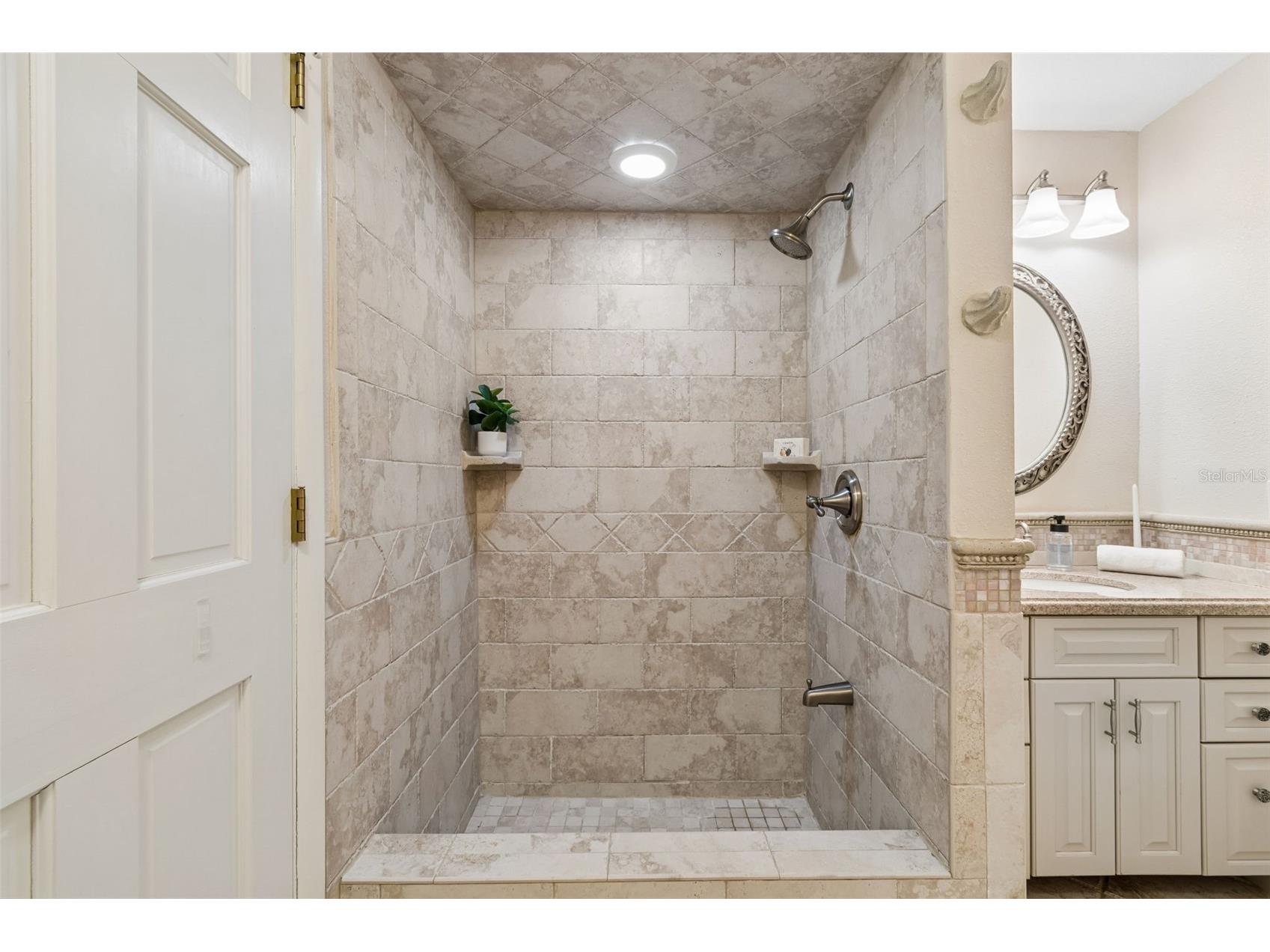 2245 Toniwood Lane Palm Harbor FL 34685 TB8510983 image54
