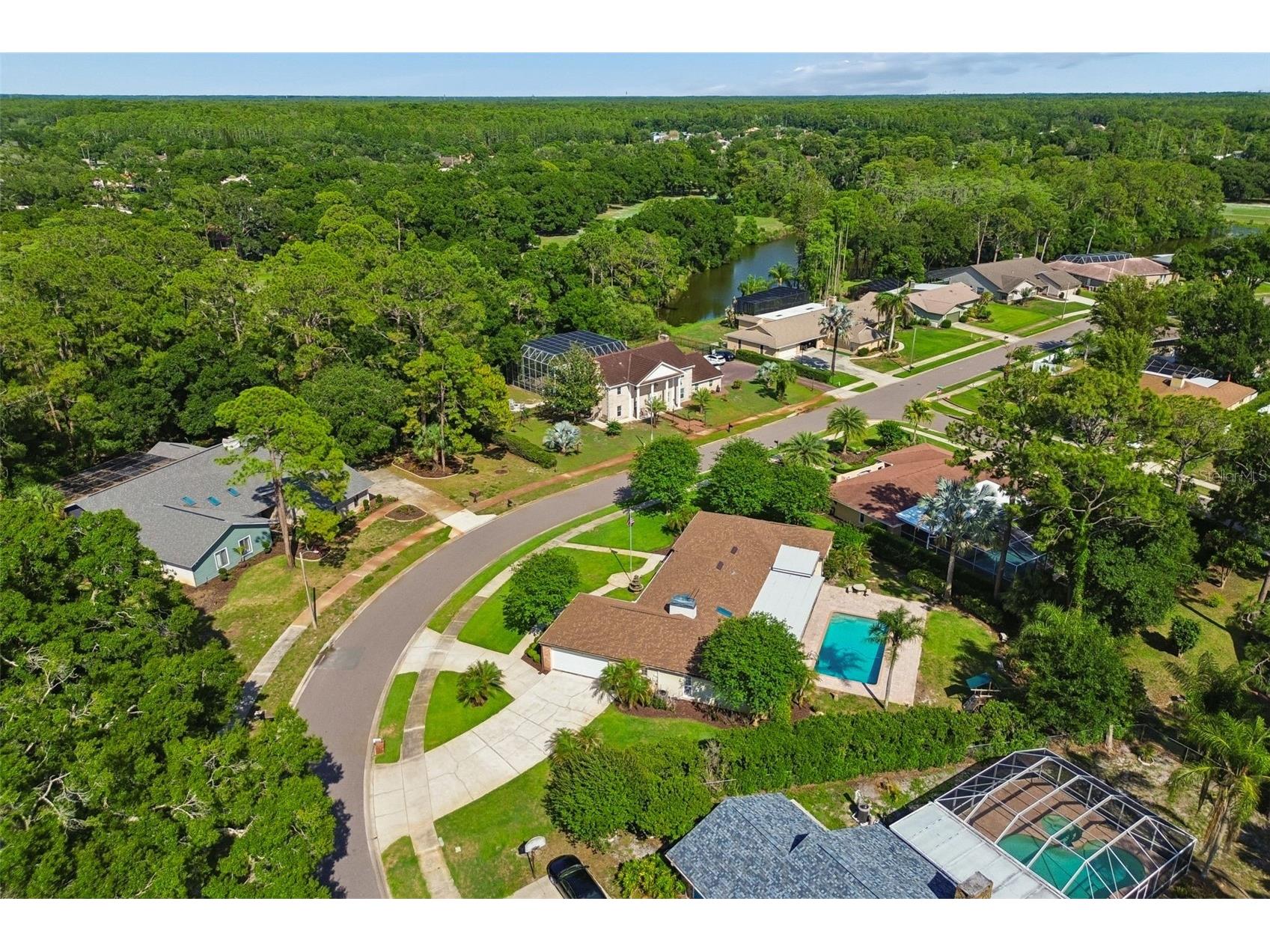 2245 Toniwood Lane Palm Harbor FL 34685 TB8510983 image71
