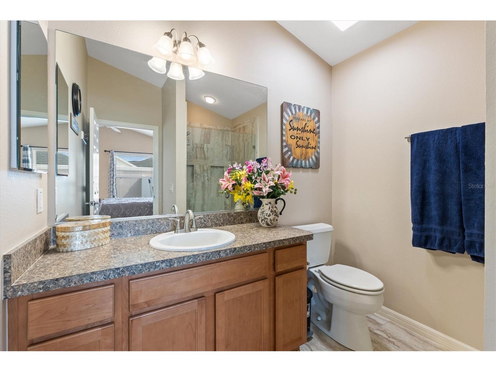 2246 Crestview Street The Villages FL 32162 G5112176 image16