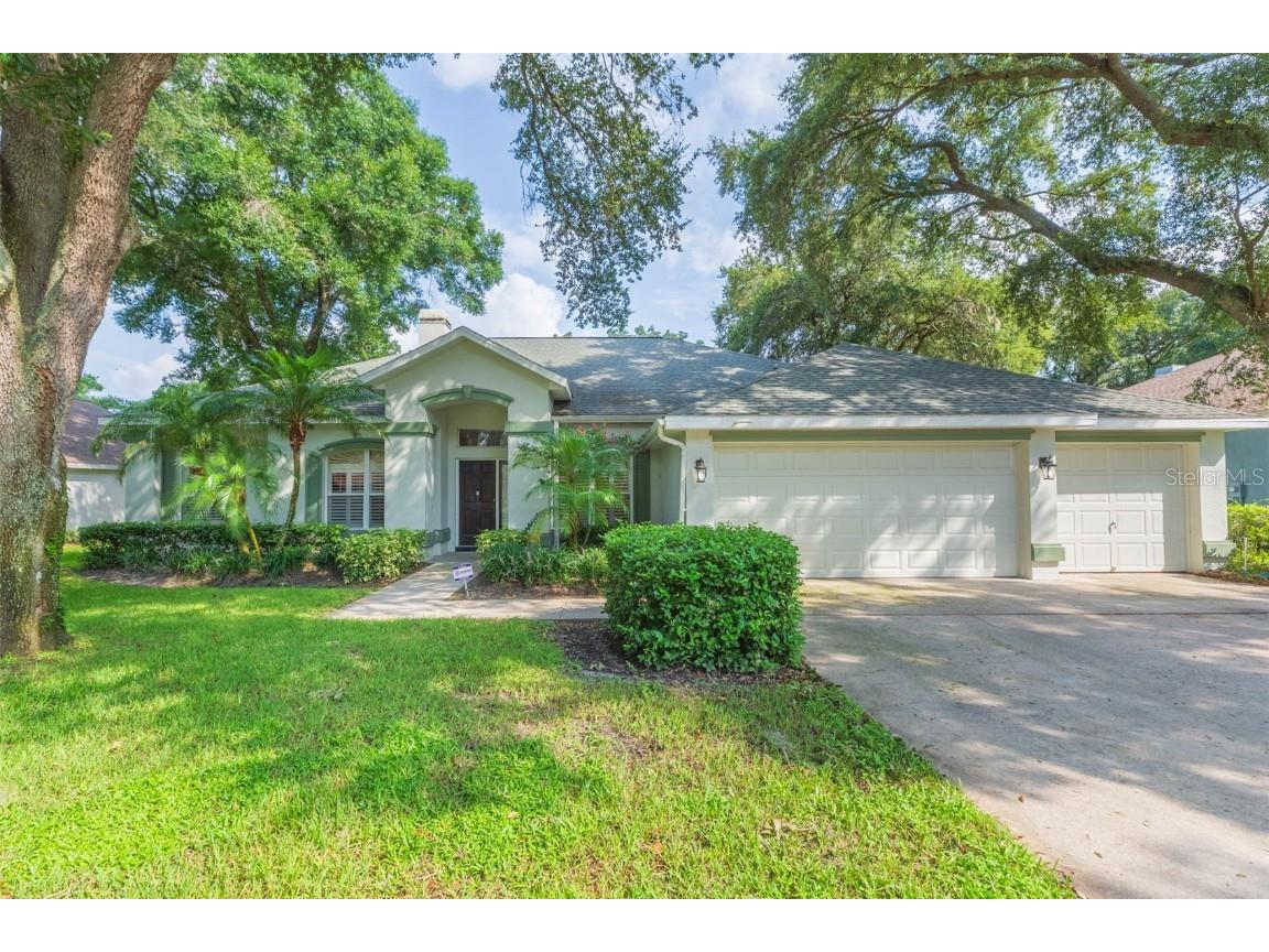 2246 Eagle Bluff Drive Valrico FL 33596 T3547765 image1