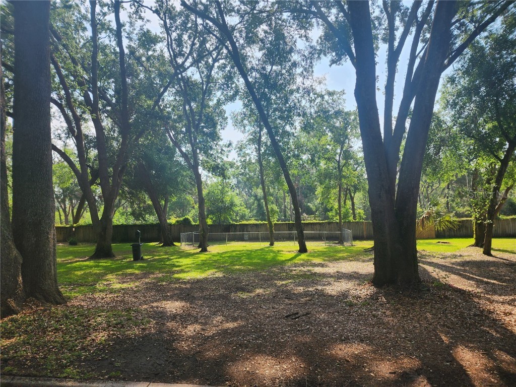 2247 Golden Oak Lane Valrico FL 33594 O6319793 image9