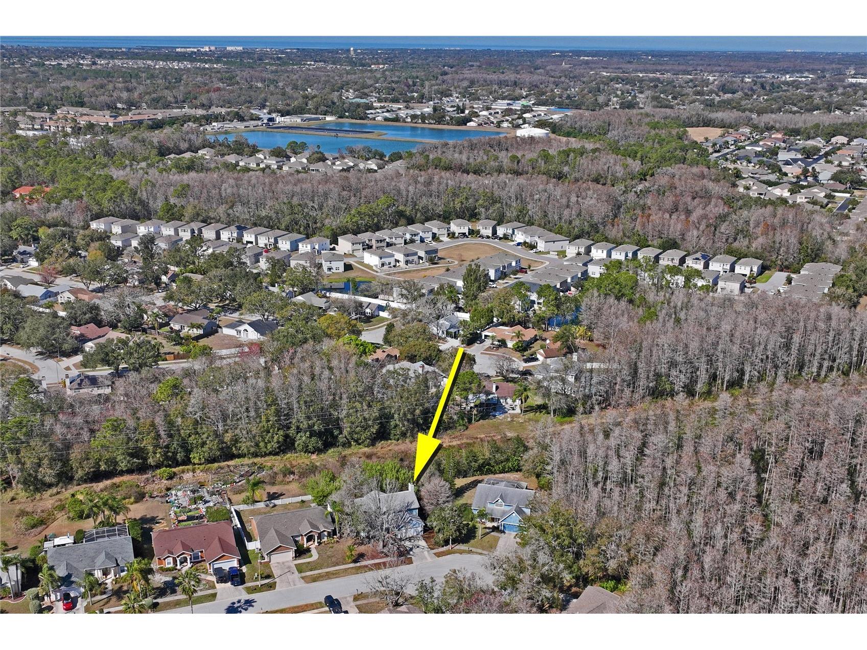 2247 Ground Squirrel Drive New Port Richey FL 34655 W7882416 image35