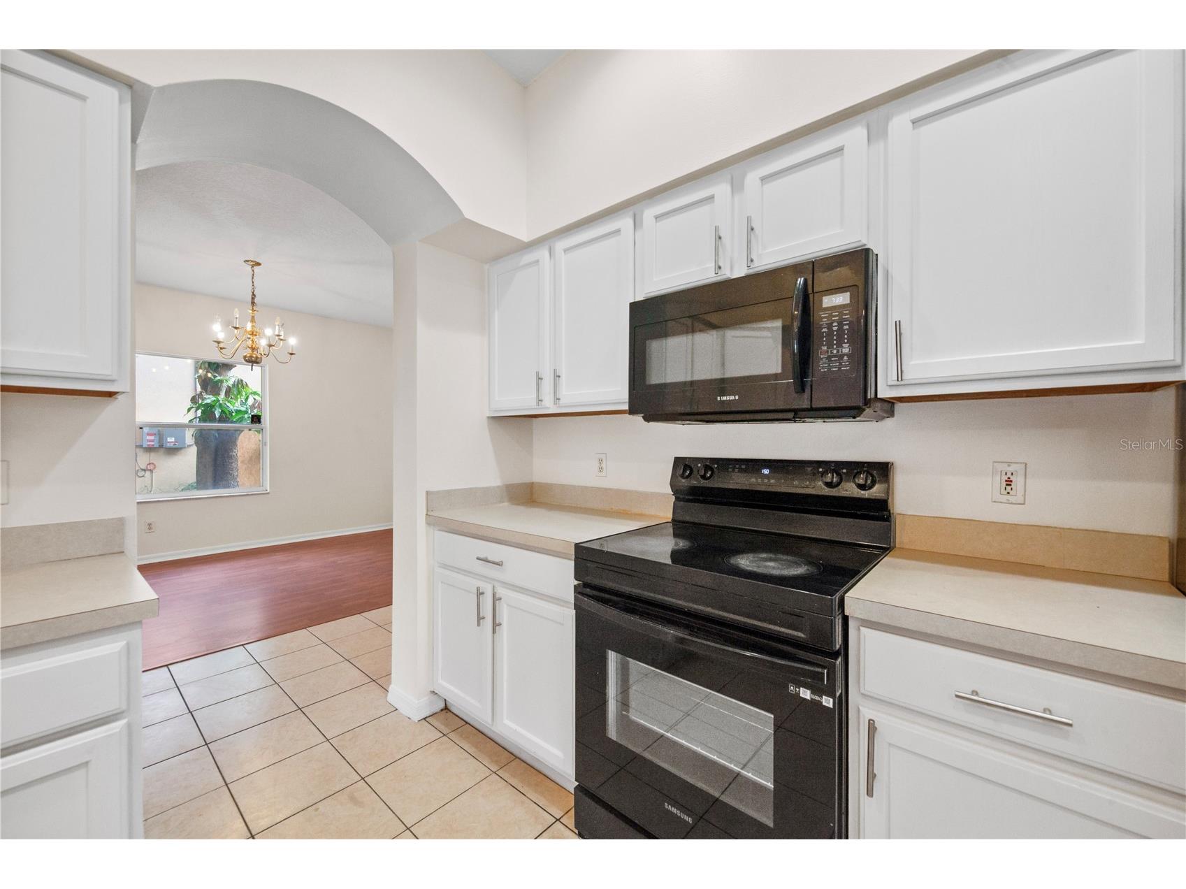 2247 Mountain Spruce Street Ocoee FL 34761 O6423488 image21