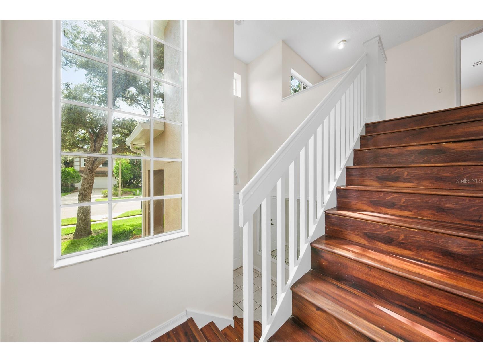 2247 Mountain Spruce Street Ocoee FL 34761 O6423488 image26
