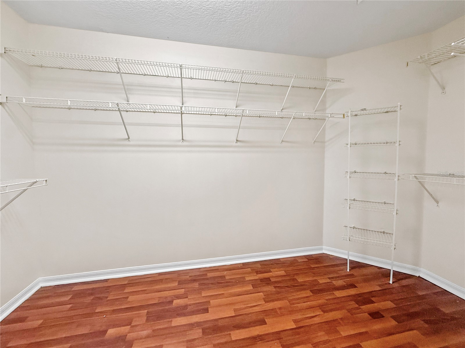 2247 Mountain Spruce Street Ocoee FL 34761 O6423488 image38