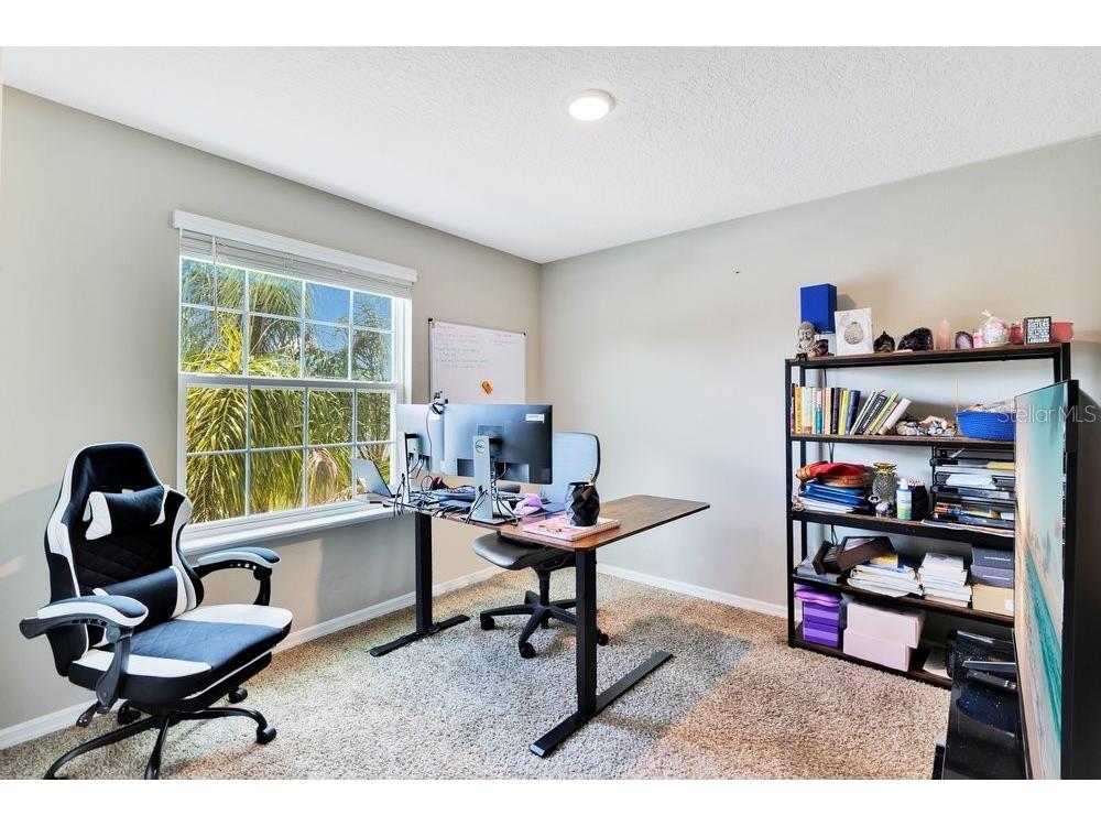 2248 Canyon Breeze Avenue Kissimmee FL 34746 TB8513879 image13