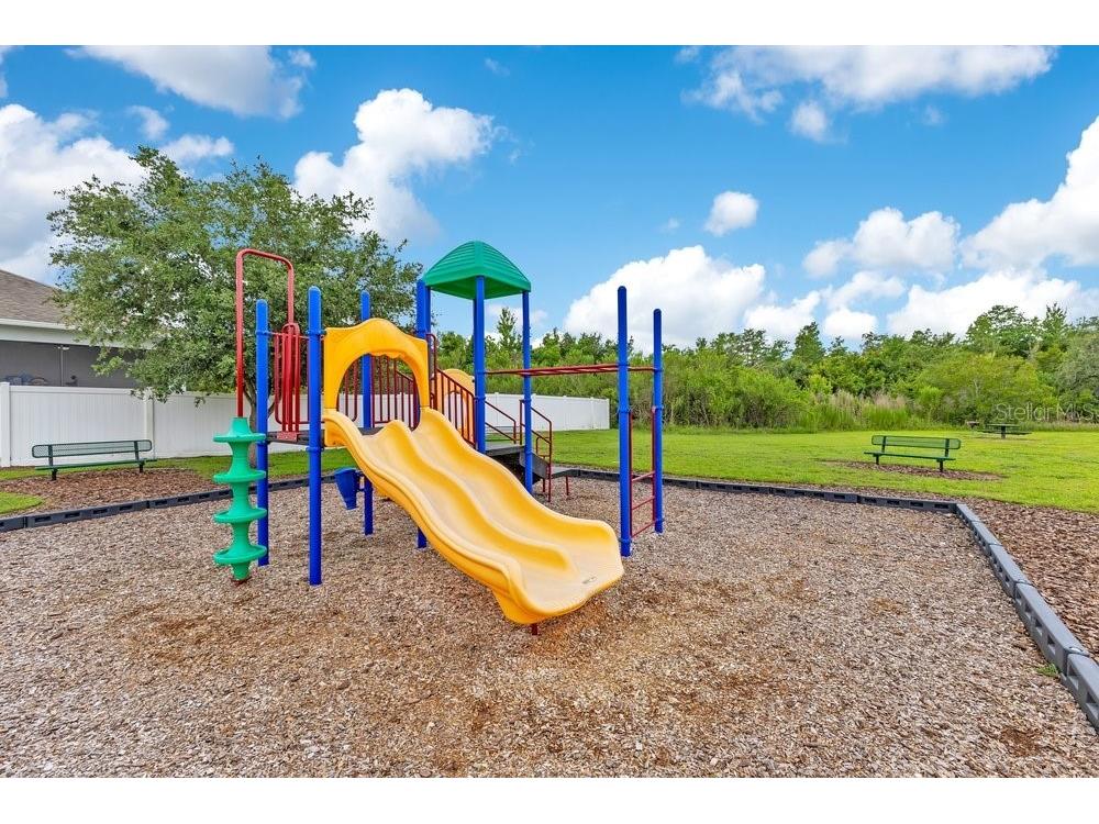 2248 Canyon Breeze Avenue Kissimmee FL 34746 TB8513879 image20