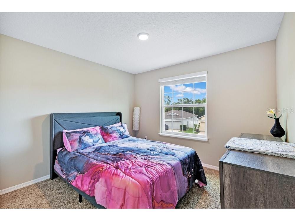 2248 Canyon Breeze Avenue Kissimmee FL 34746 TB8513879 image9