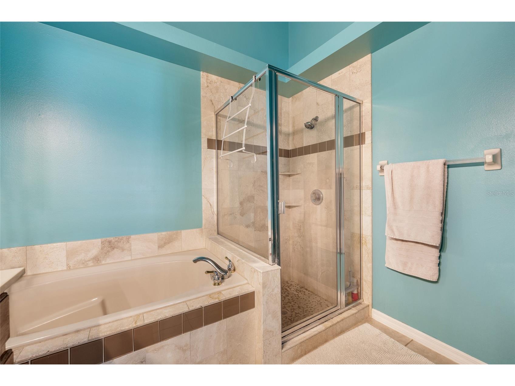 2248 Hillshire Drive Orlando FL 32828 O6408756 image16