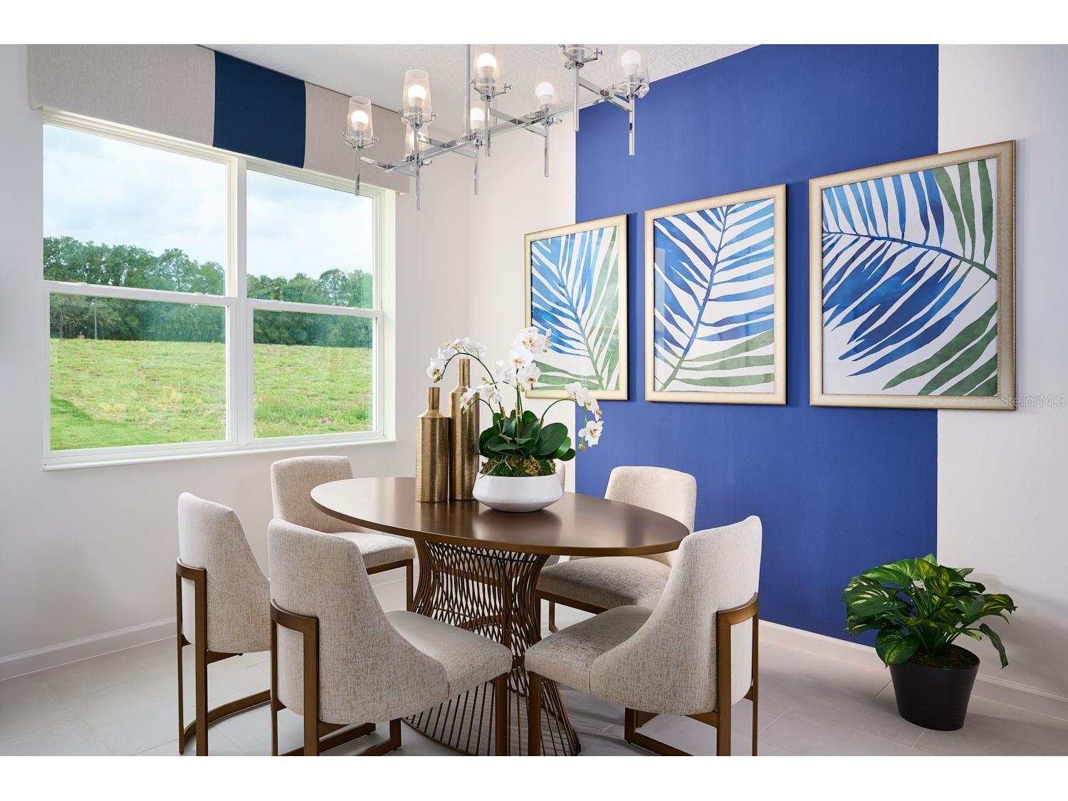 2248 Sirena Lane Mount Dora FL 32757 O6427709 image9