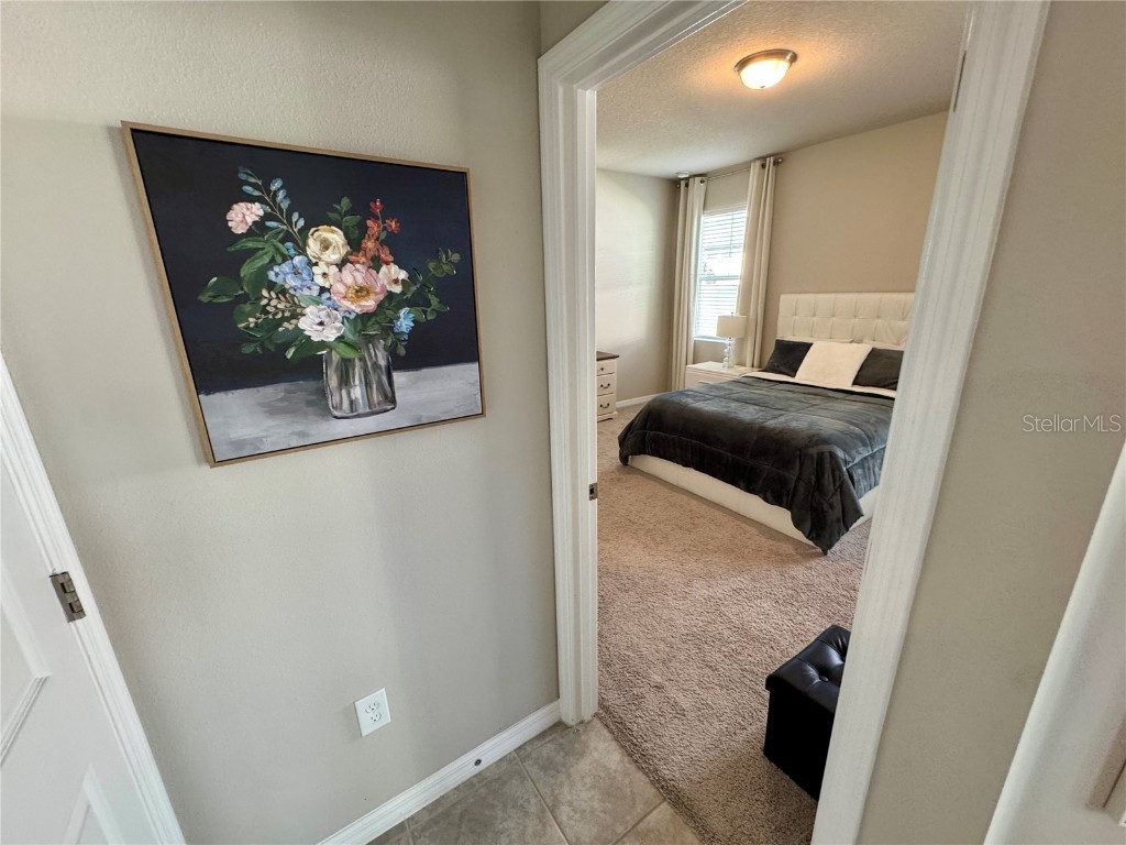 2248 Treasure Hill Street Minneola FL 34715 O6347521 image17