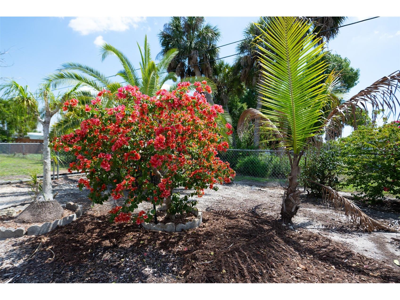 22481 Hernando Avenue Port Charlotte FL 33952 C7524073 image24