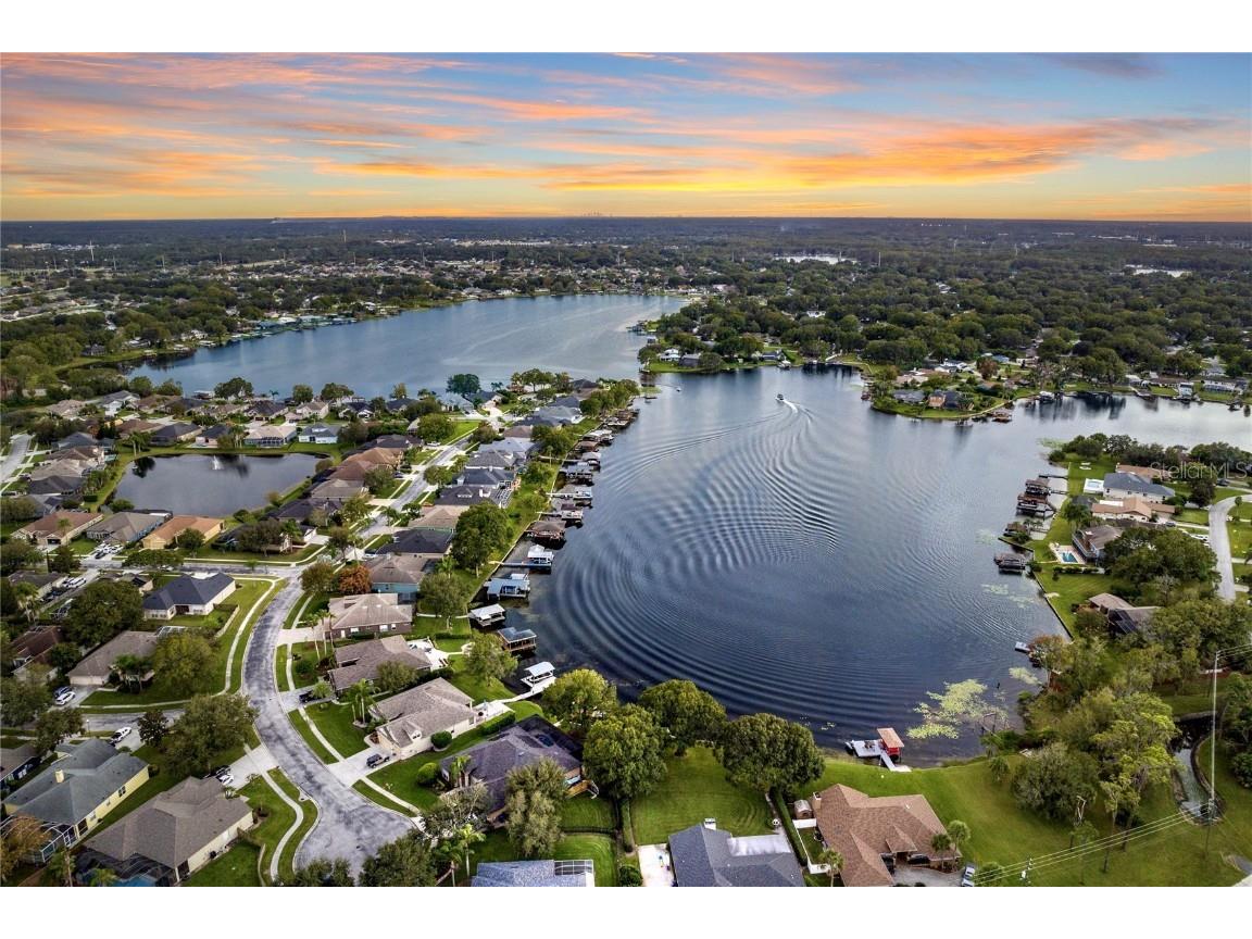 22481 Southshore Drive Land O Lakes FL 34639 - East Lake TB8456589 image10