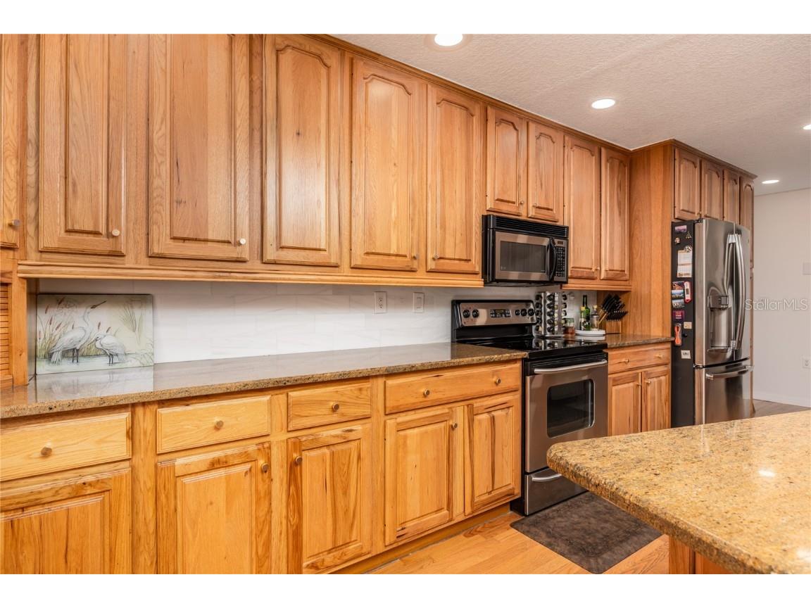 22481 Southshore Drive Land O Lakes FL 34639 - East Lake TB8456589 image12