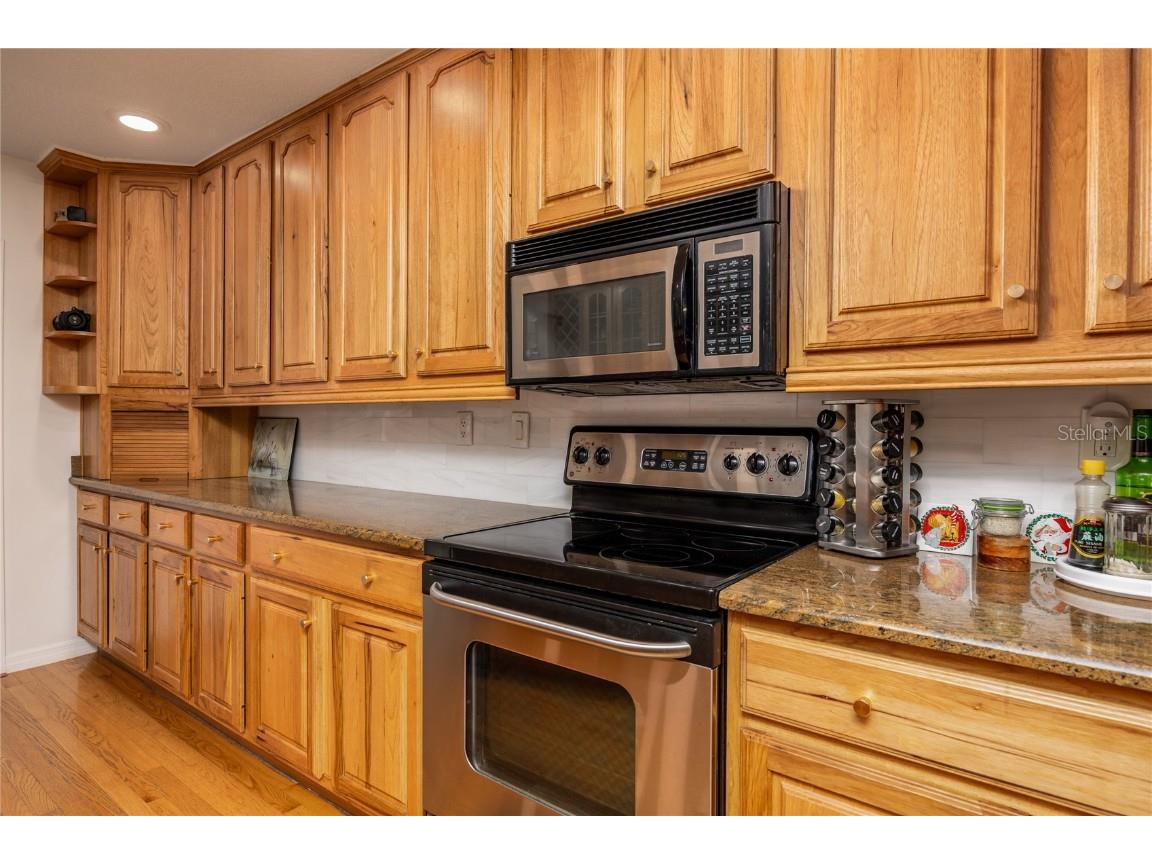 22481 Southshore Drive Land O Lakes FL 34639 - East Lake TB8456589 image13