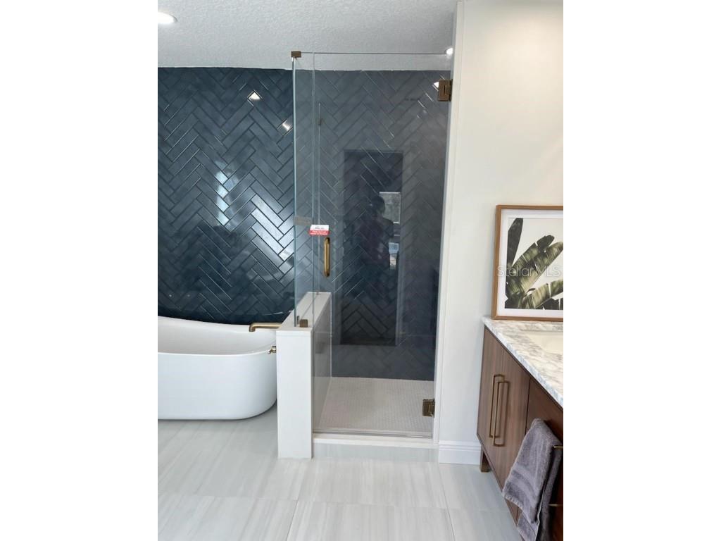 22481 Southshore Drive Land O Lakes FL 34639 - East Lake TB8456589 image21