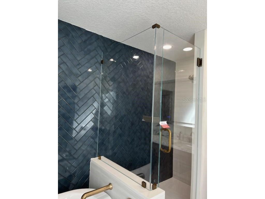 22481 Southshore Drive Land O Lakes FL 34639 - East Lake TB8456589 image24