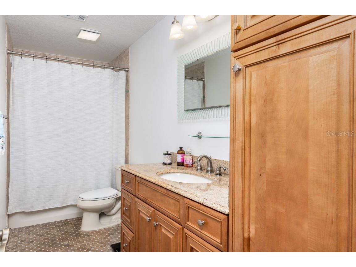 22481 Southshore Drive Land O Lakes FL 34639 - East Lake TB8456589 image28