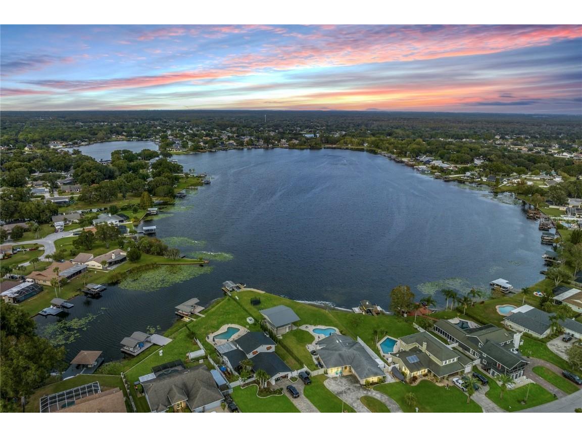 22481 Southshore Drive Land O Lakes FL 34639 - East Lake TB8456589 image9