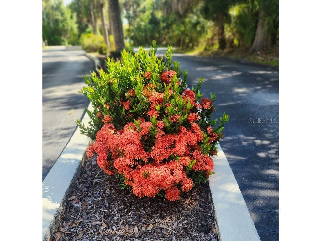 22481 Westchester Boulevard #A19 Punta Gorda FL 33980 R4909527 image5