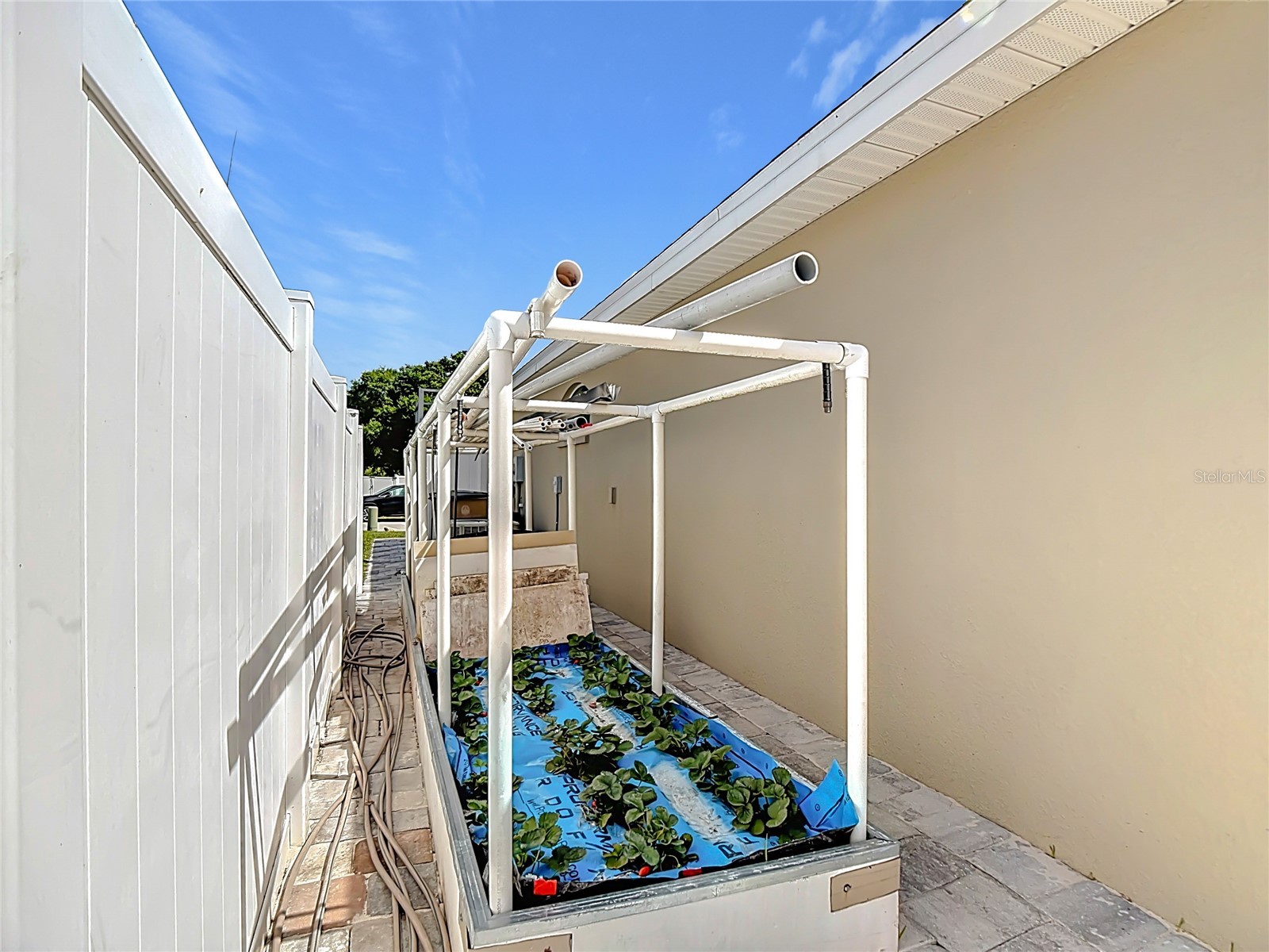 2249 Country Manor Street Bartow FL 33830 S5146956 image46