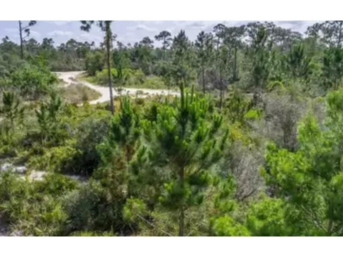 2249 Queen Avenue Sebring FL 33875 O6043979 image1