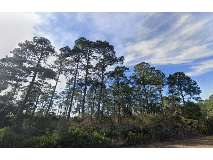 2249 Winfield Drive Navarre FL 32566 A4696328 image4