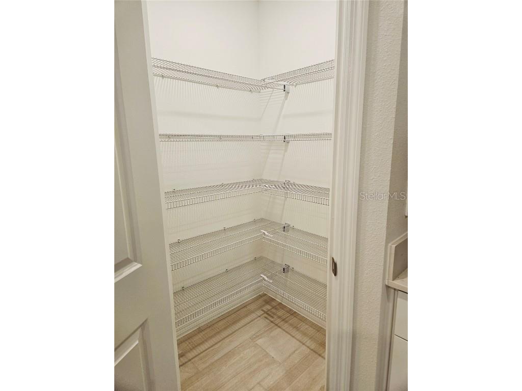 22496 Nebula Way Land O Lakes FL 34637 O6365288 image11