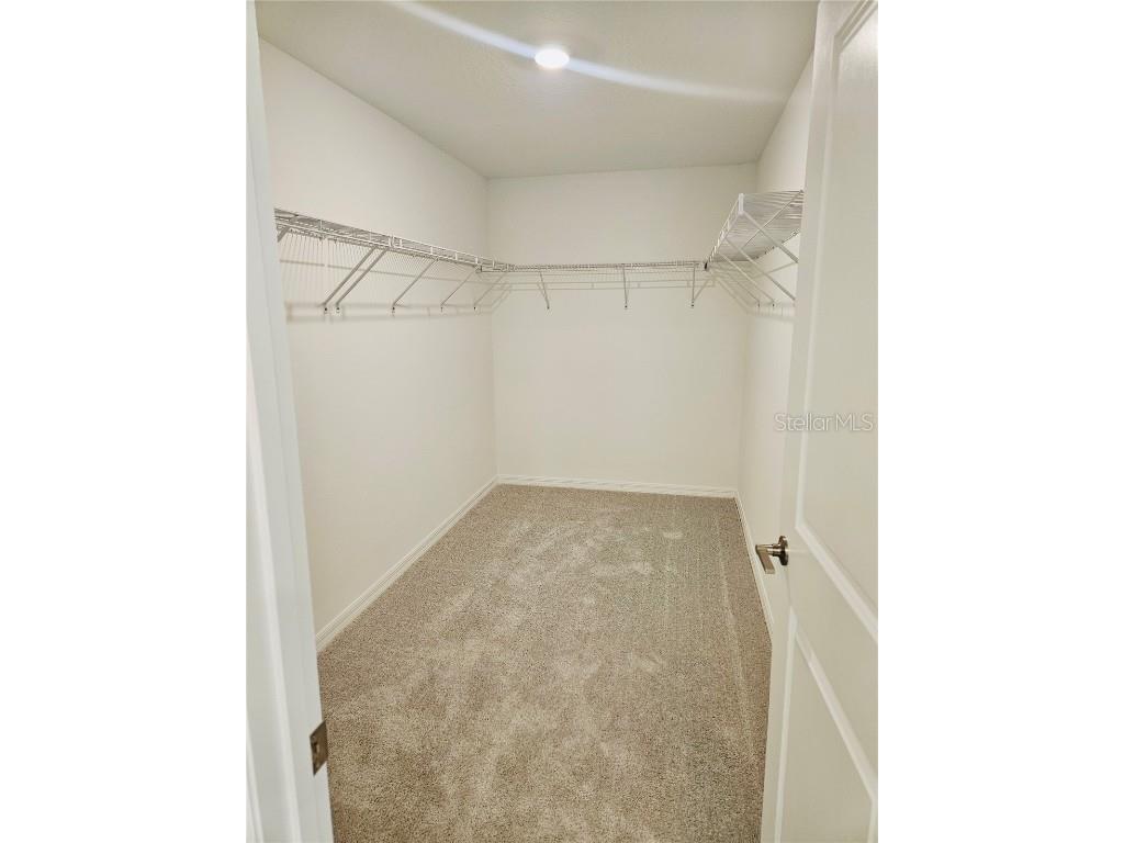 22496 Nebula Way Land O Lakes FL 34637 O6365288 image16