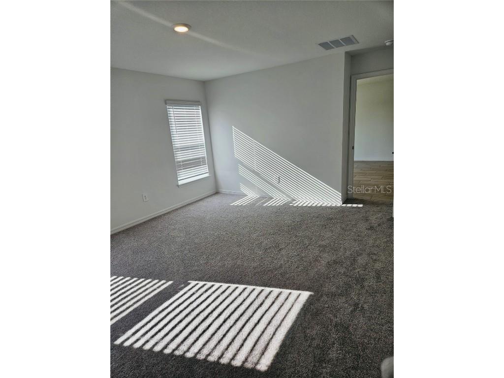 22496 Nebula Way Land O Lakes FL 34637 O6365288 image19