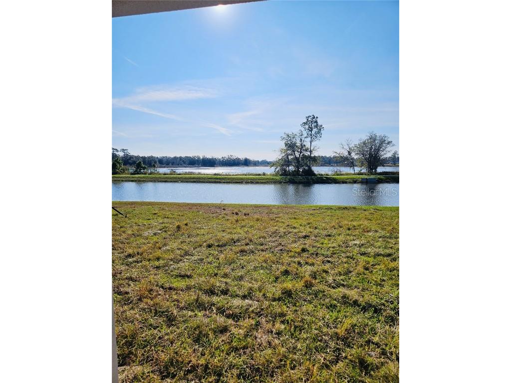 22496 Nebula Way Land O Lakes FL 34637 O6365288 image24