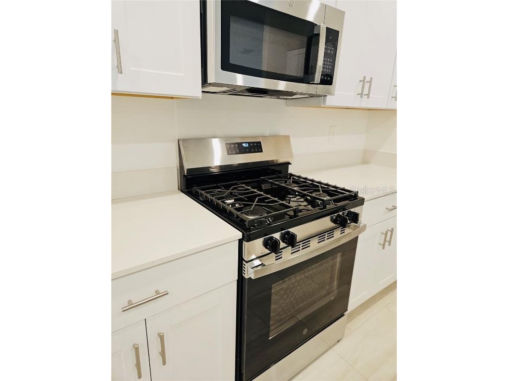 22496 Nebula Way Land O Lakes FL 34637 O6365288 image8