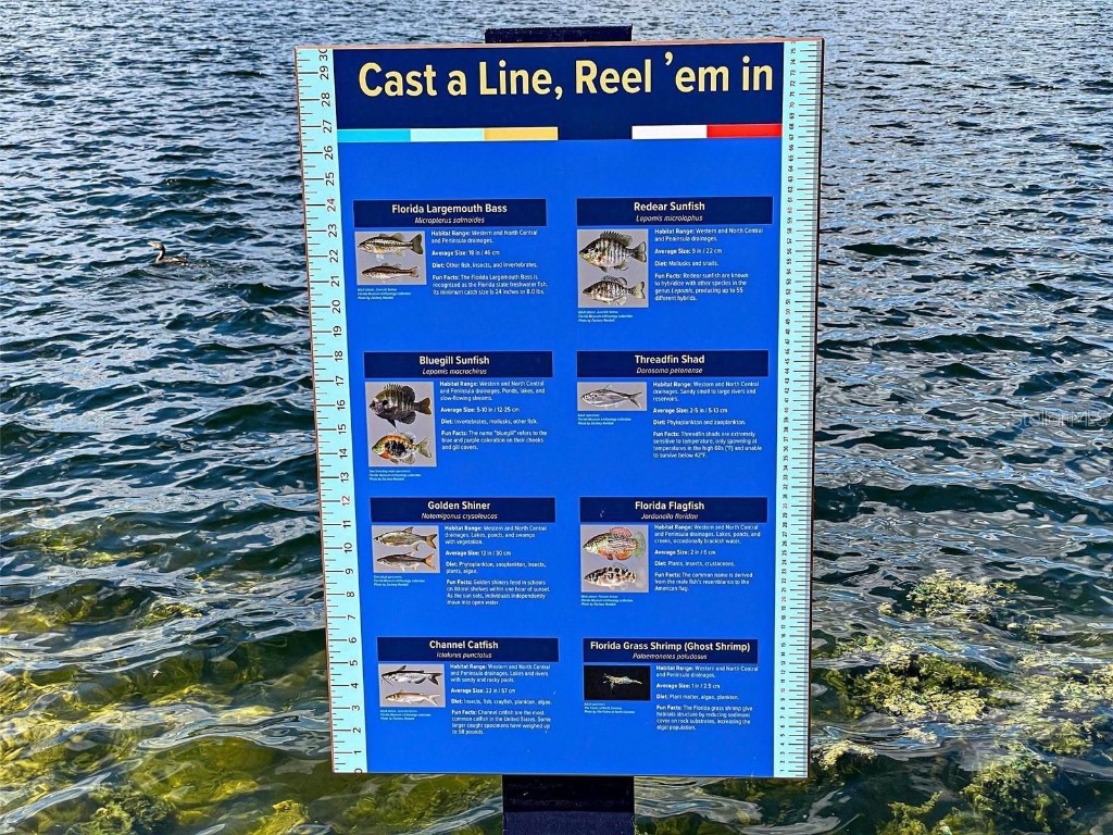 225 Brighton Court Englewood FL 34223 A4623821 image63