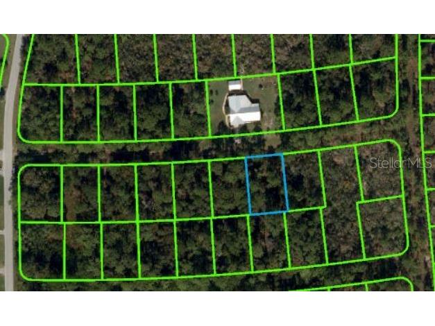 225 Caswell Lane Lake Placid FL 33852 OM621104 image1