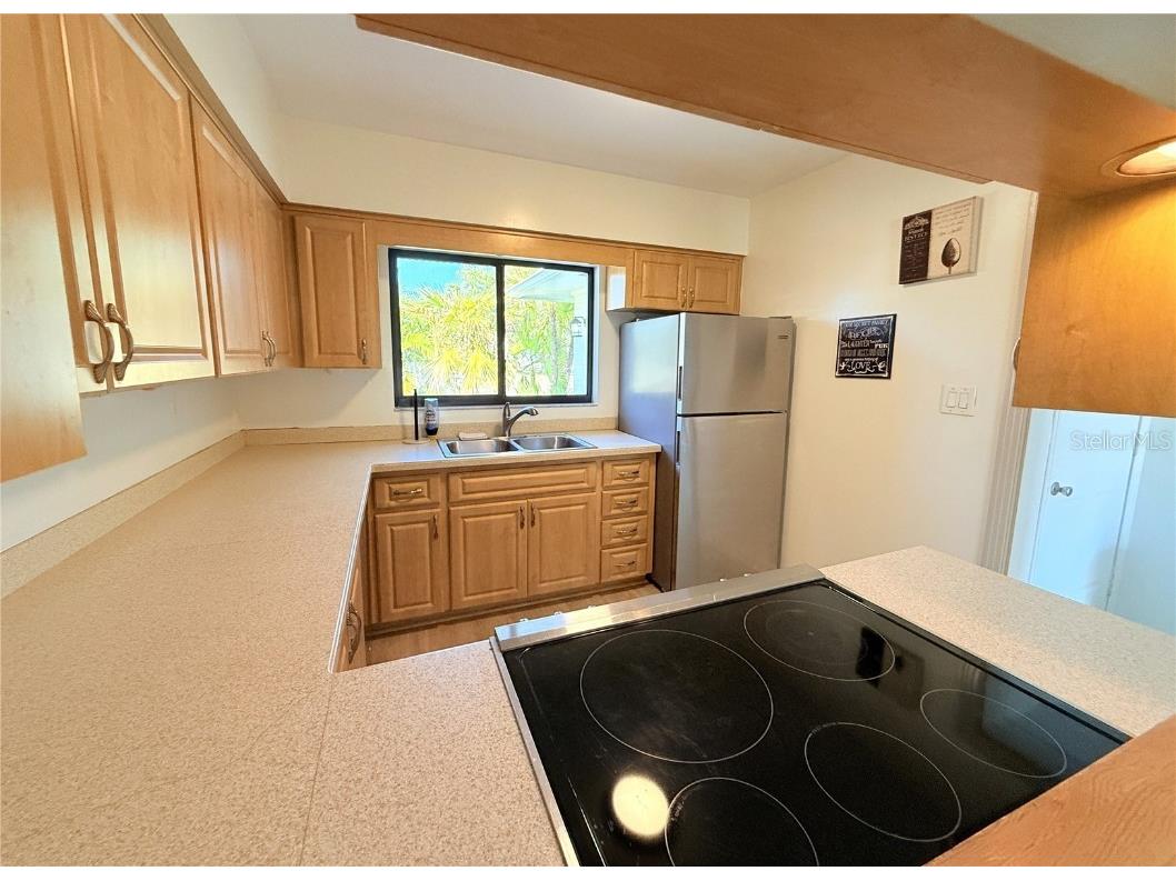 225 Cevera Drive Dunedin FL 34698 TB8451821 image16