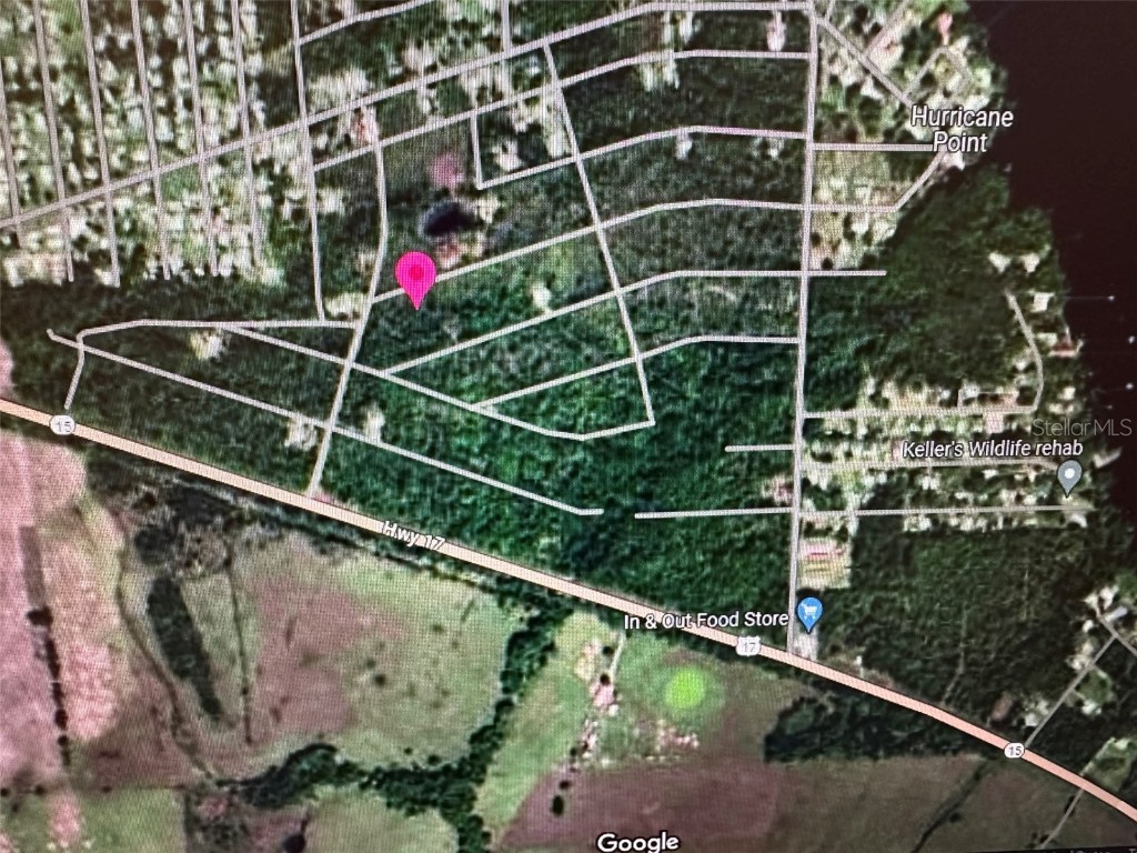 225 Colonial Avenue Crescent City FL 32112 A4612029 image3