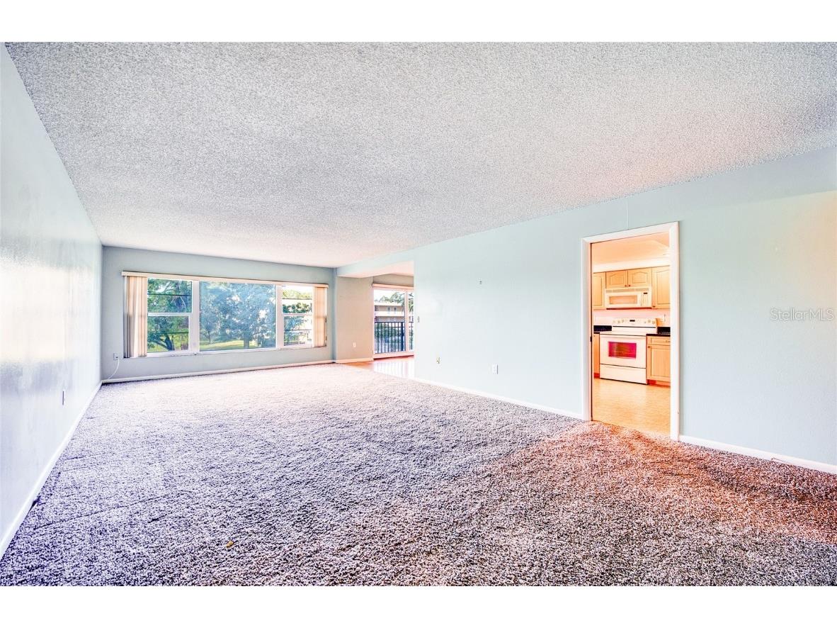 225 Country Club Drive #1209 Largo FL 33771 TB8442245 image10