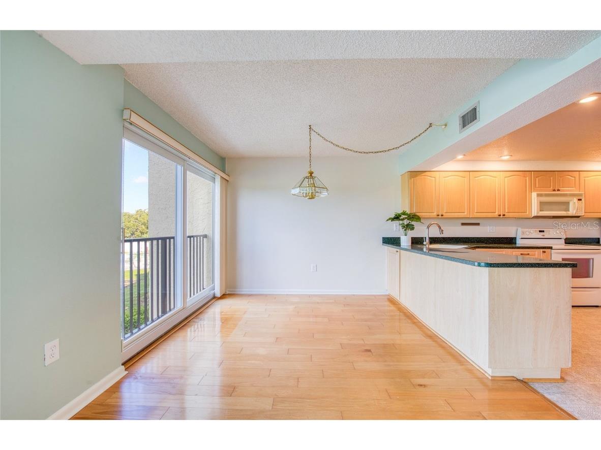 225 Country Club Drive #1209 Largo FL 33771 TB8442245 image13