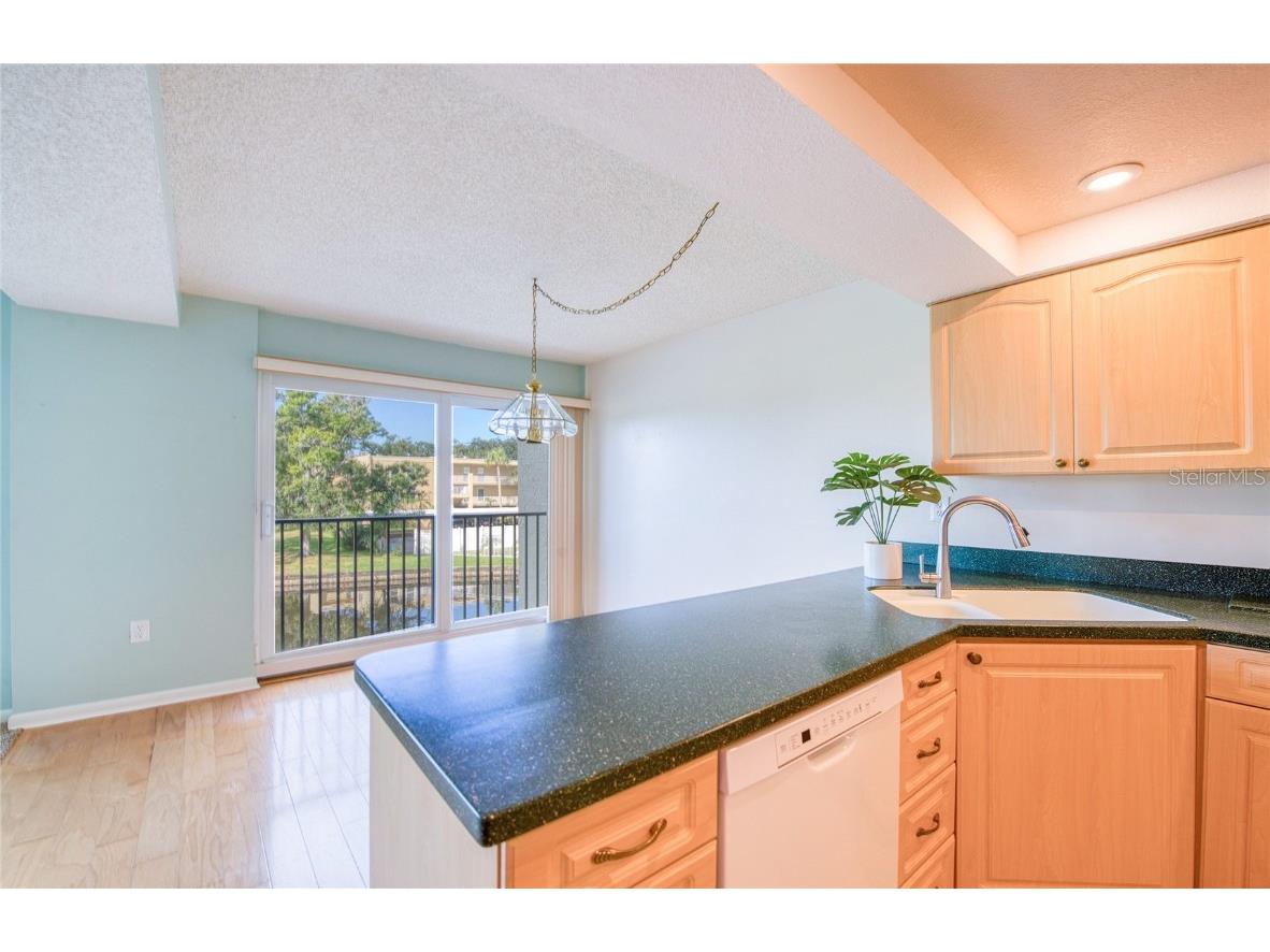 225 Country Club Drive #1209 Largo FL 33771 TB8442245 image15