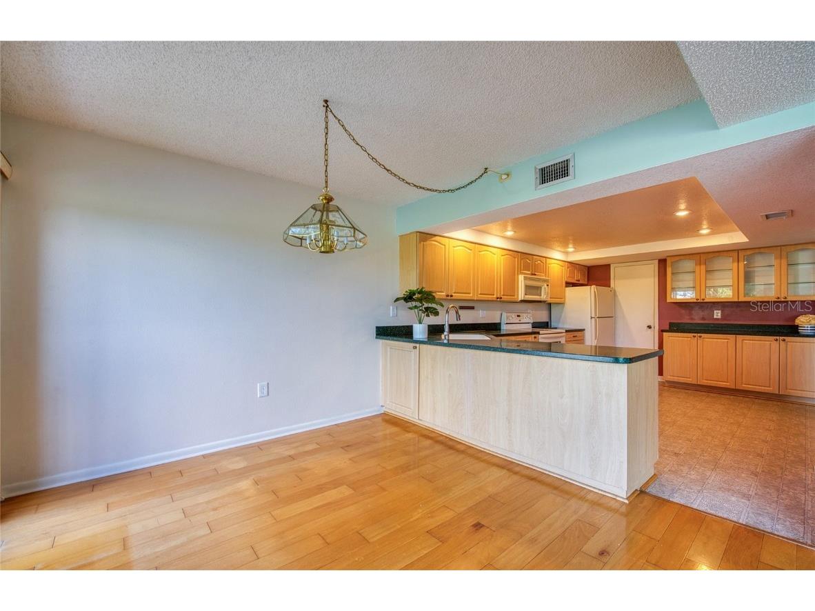 225 Country Club Drive #1209 Largo FL 33771 TB8442245 image16