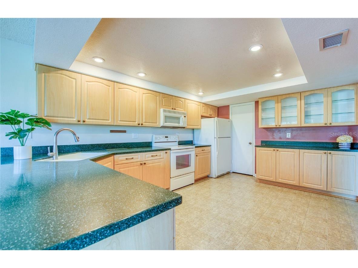 225 Country Club Drive #1209 Largo FL 33771 TB8442245 image17