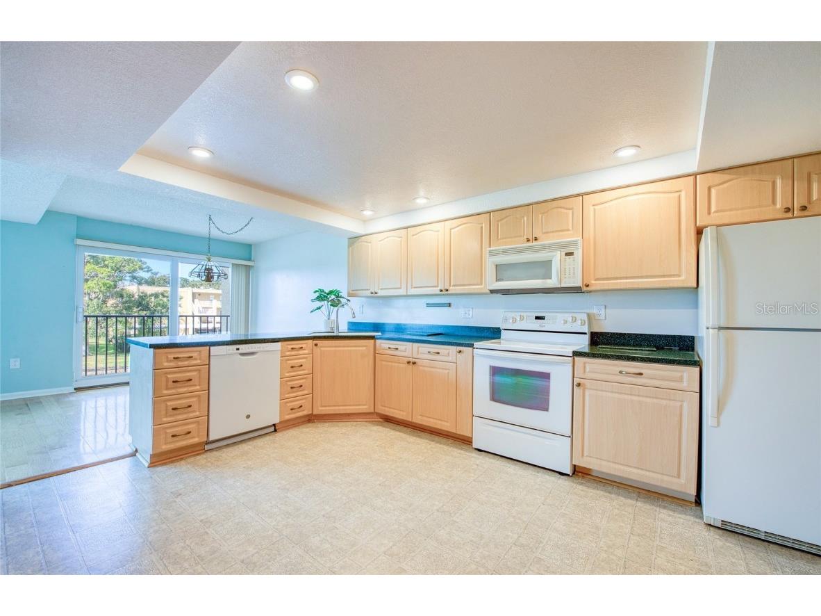 225 Country Club Drive #1209 Largo FL 33771 TB8442245 image18