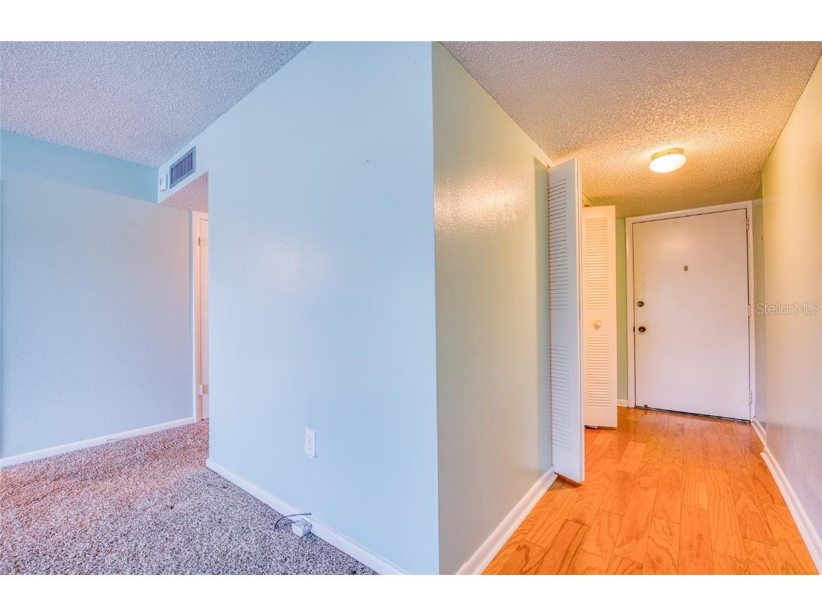 225 Country Club Drive #1209 Largo FL 33771 TB8442245 image34