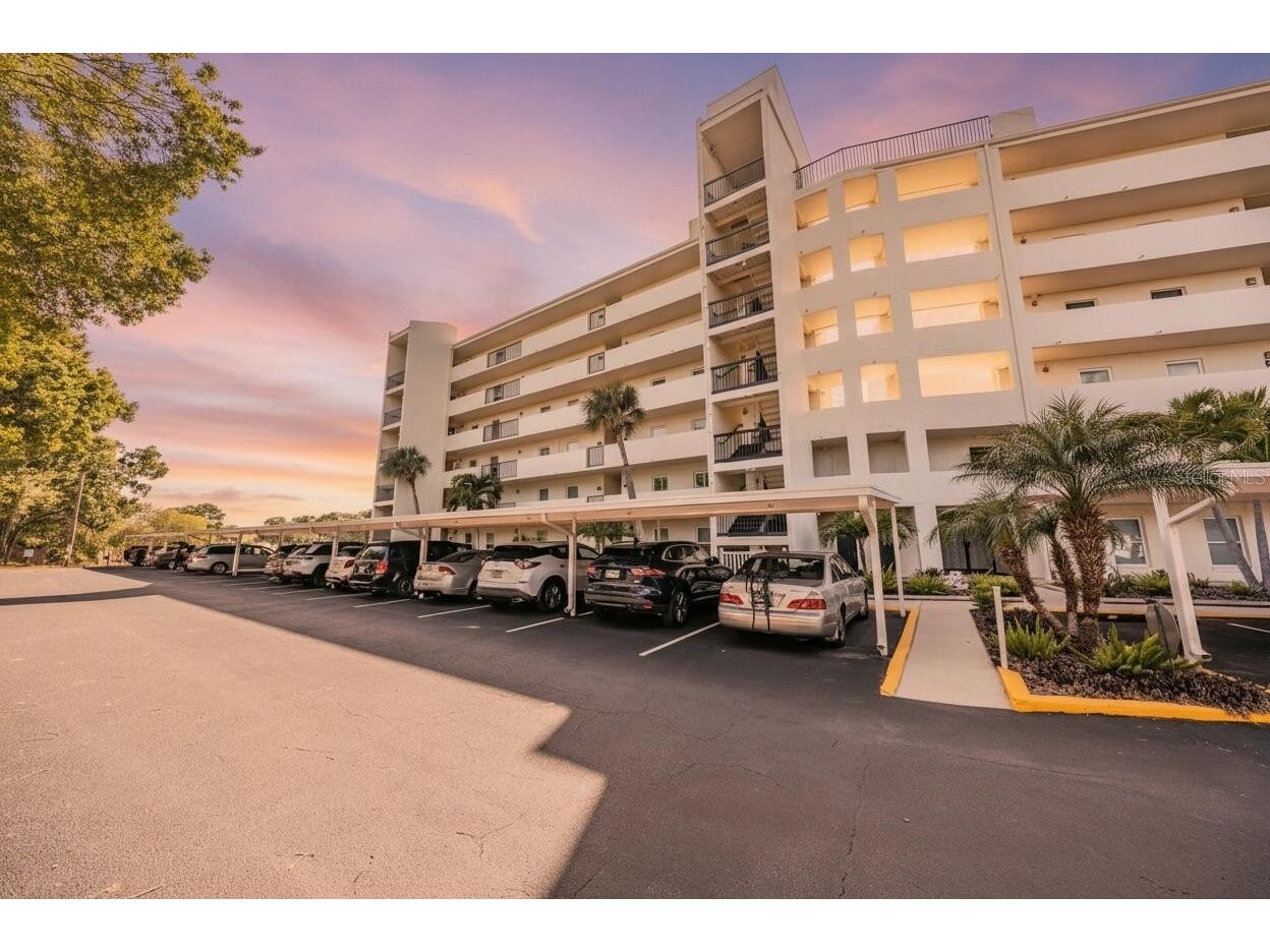 225 Country Club Drive #1209 Largo FL 33771 TB8497142 image1