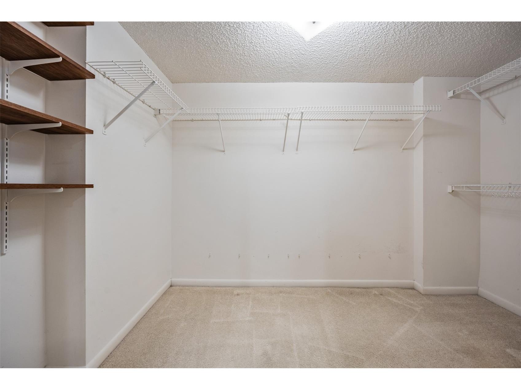 225 Country Club Drive #1209 Largo FL 33771 TB8497142 image19