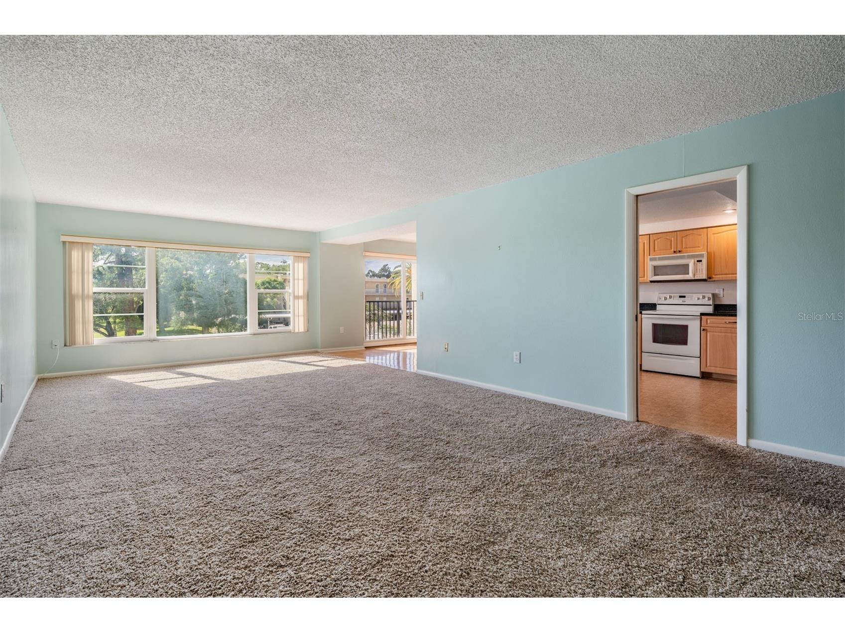225 Country Club Drive #1209 Largo FL 33771 TB8497142 image6