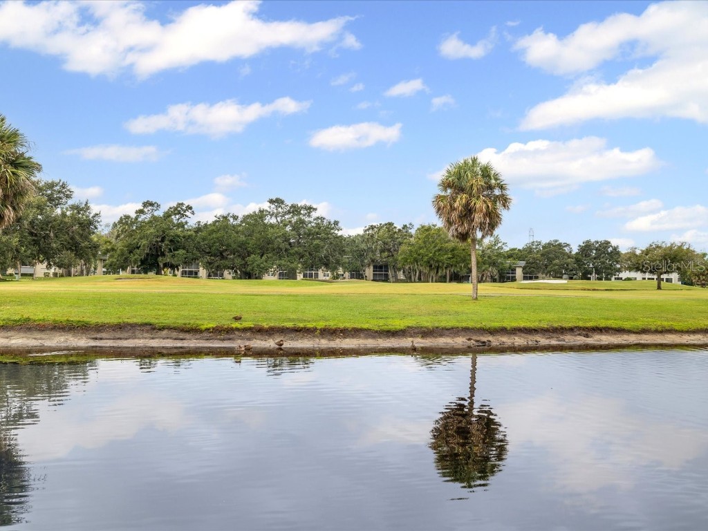 225 Country Club Drive #1211 Largo FL 33771 TB8432446 image41