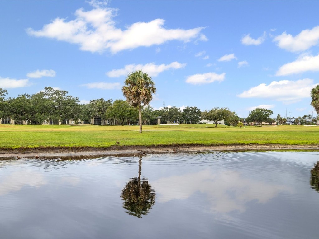 225 Country Club Drive #1211 Largo FL 33771 TB8432446 image43